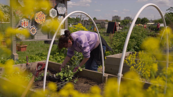 People tending raised beds in a mental health garden featured in a charity video production