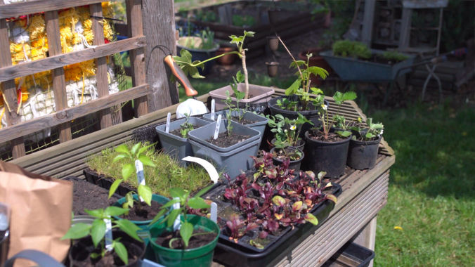 "Peaceful garden scene with community members during a charity video production on mental health