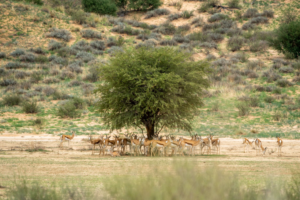 roan nyika national park