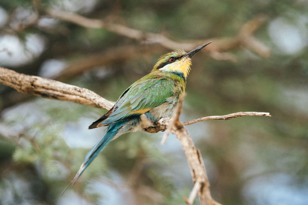 nyika national park view