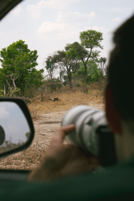 Learn video making by filming a warthog in its natural environment.