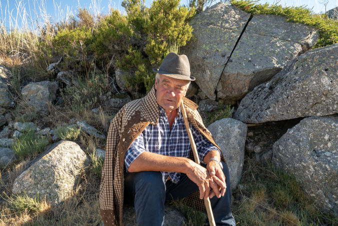 Shepherd tending sheep in Serra da Estrela during a rural video production in Portugal