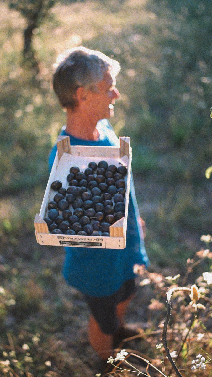 damson jam recipe box