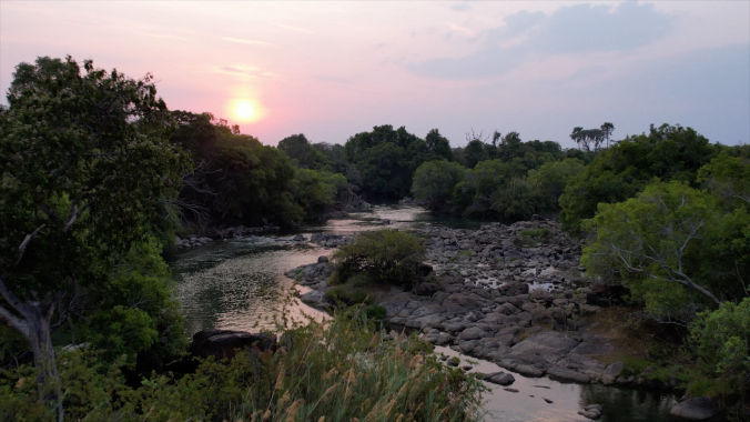 african bat conservation studying data