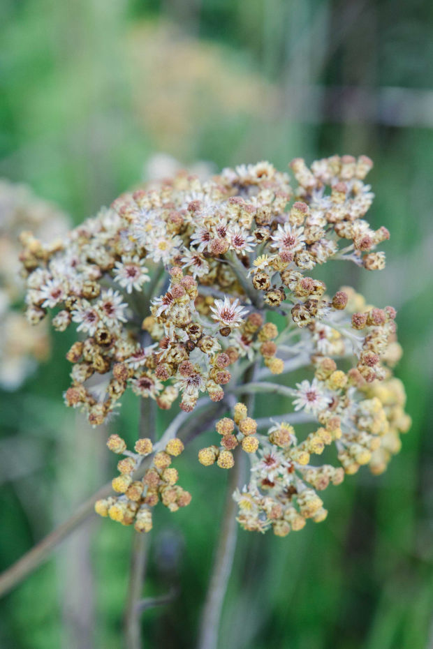 Behind-the-scenes vertical image