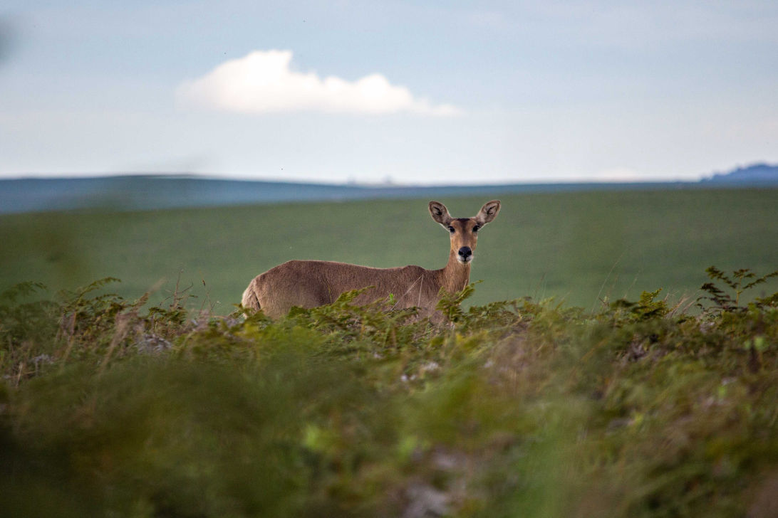 Behind-the-scenes horizontal image
