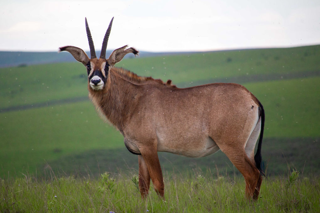 Beautiful horizontal shot