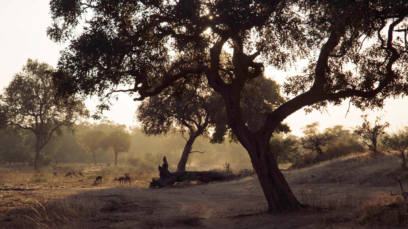 Beautiful horizontal shot