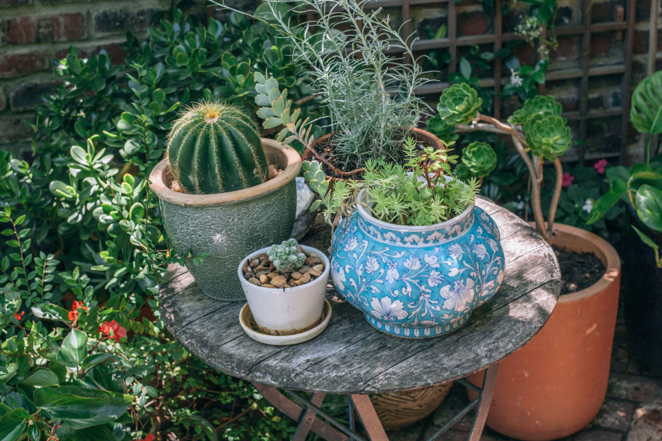 Behind-the-scenes horizontal image