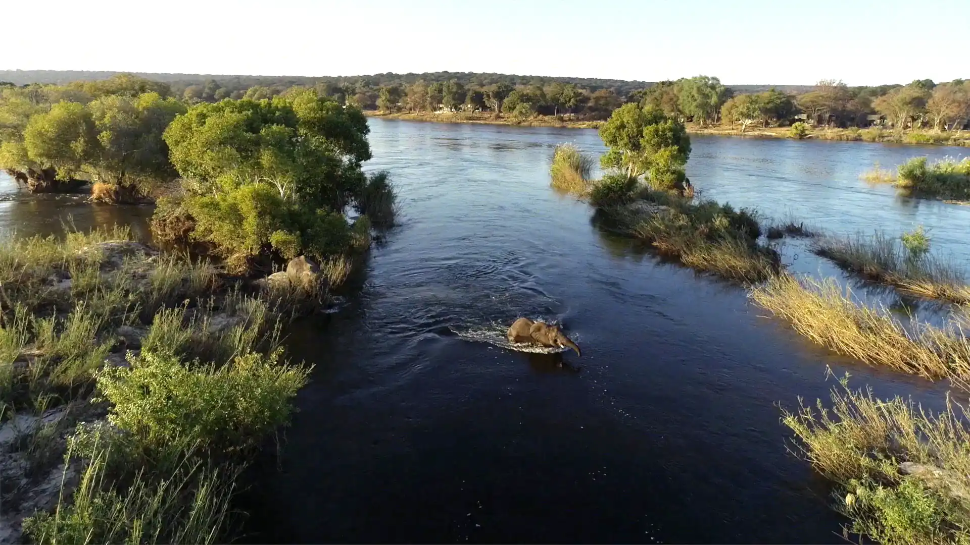 Munjiri Video Storytelling