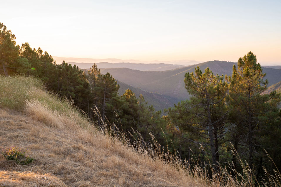 sunset over portuguese country side in northern portugal