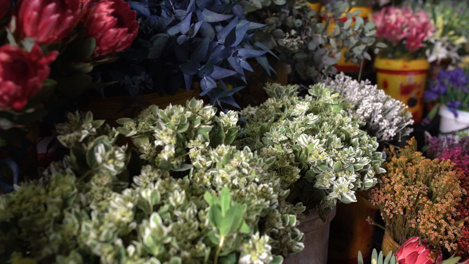 Beautiful horizontal shot