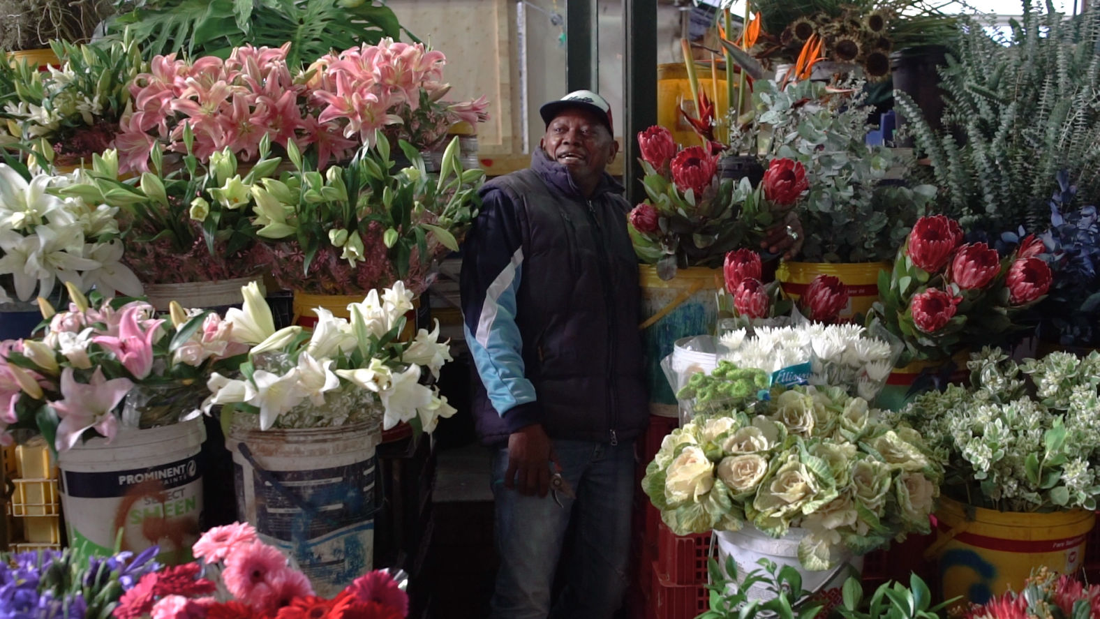 Beautiful horizontal shot