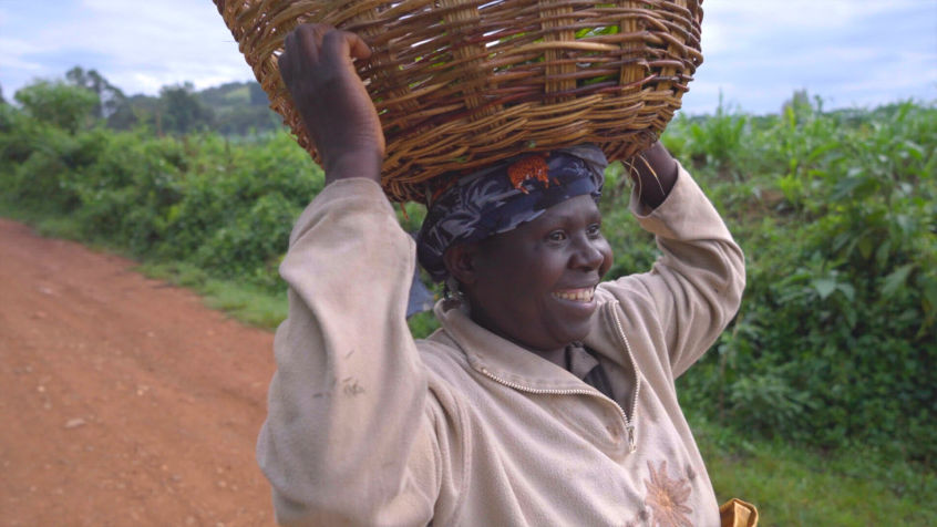 woman carrying tea in basket