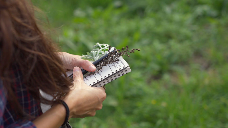 Notepad and plants