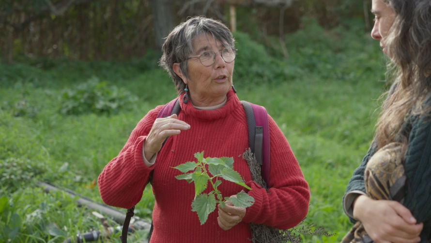 Woman explaining benefits of the nettle plant