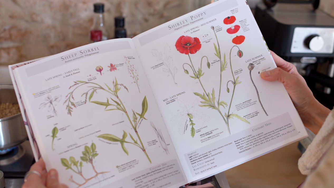 Plant book open on page about poppies